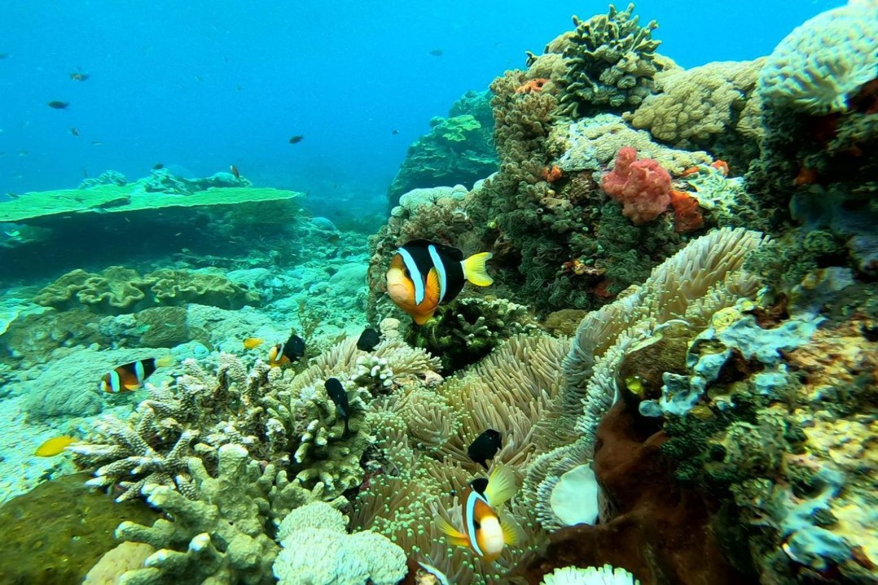 From Nusa Penida