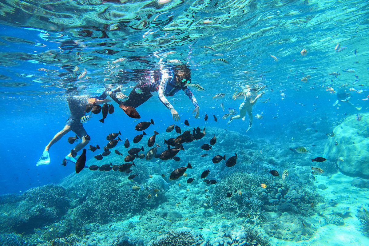 Colorful coral reef and tropical fish